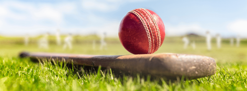 How chiropractic and osteopathy can support cricket players